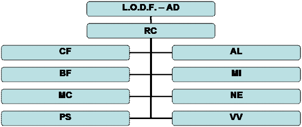 Organograma